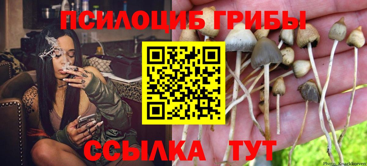Заинск  Галлюциногенные грибы ЛСД  Вход с VPN 